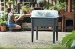 green basics grow house xxl 75cm trasparente
